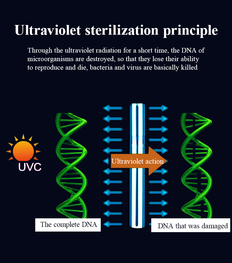 车载空气净化器_05